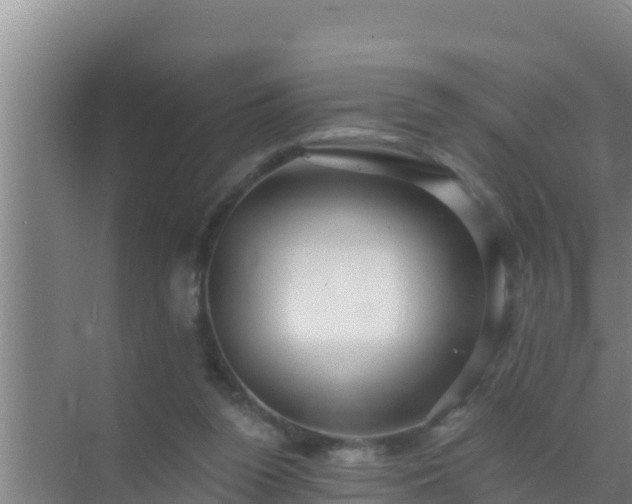 X0000072990160200607290023