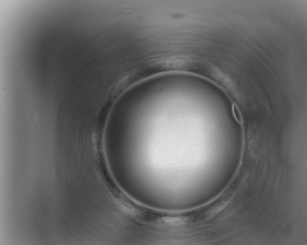 X0000072990161200607290023