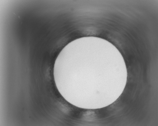 X0000072990162200607290023