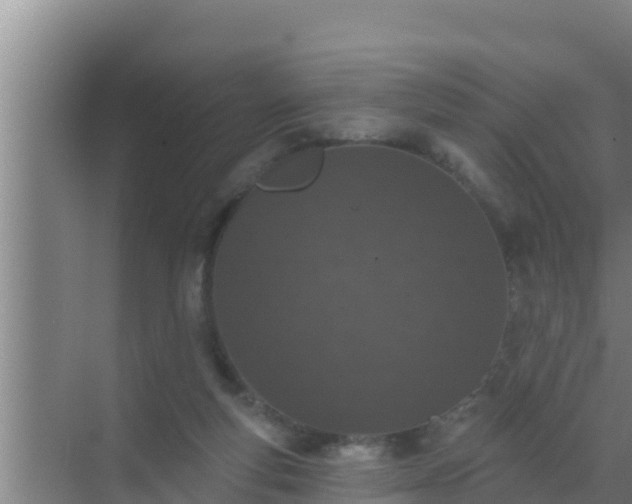 X0000072990163200607290023