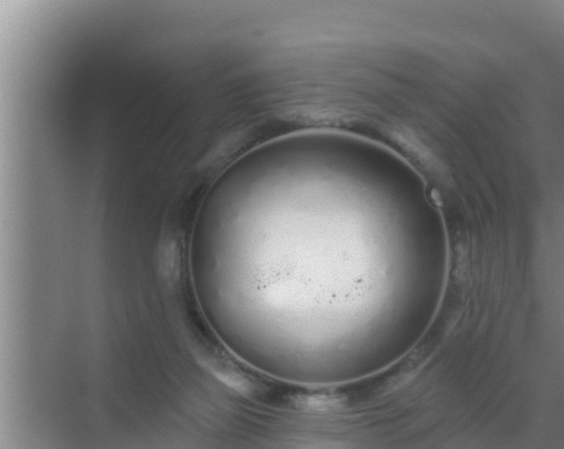 X0000072990165200607290023