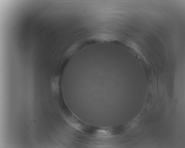 X0000072990167200607290023