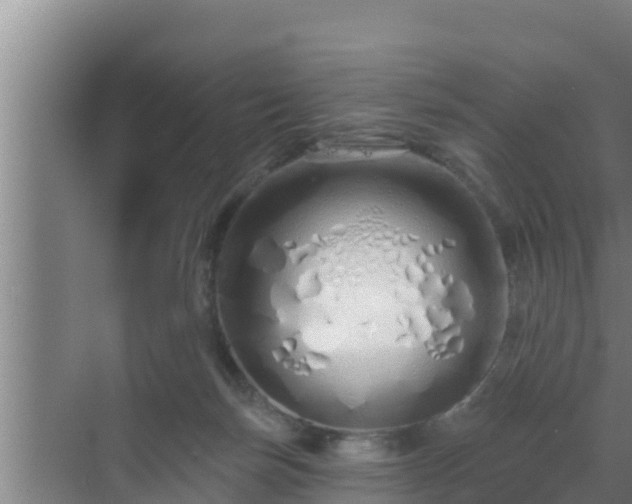 X0000072990171200607290023