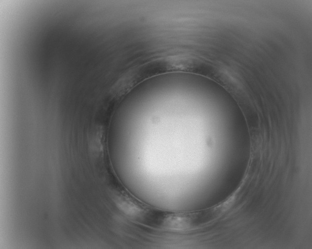 X0000072990174200607290023