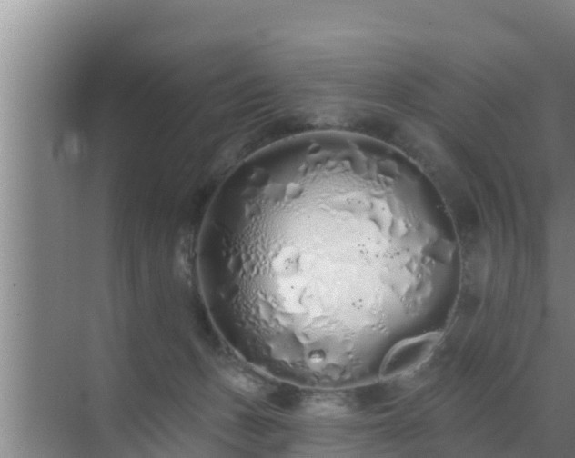 X0000072990175200607290023