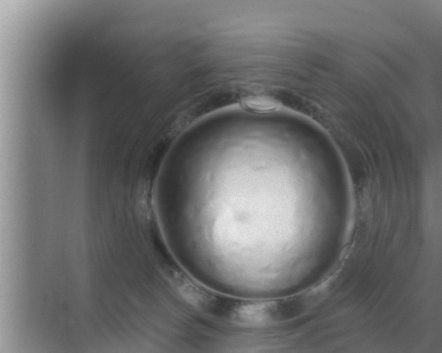 X0000072990178200607290023