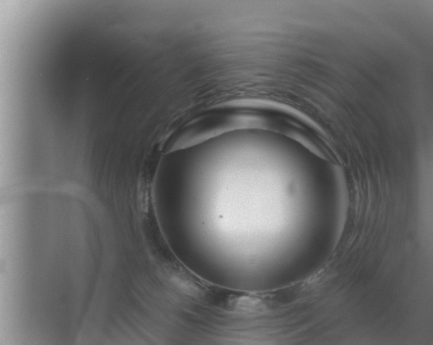 X0000072990180200607290023