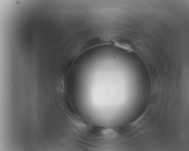 X0000072990183200607290023