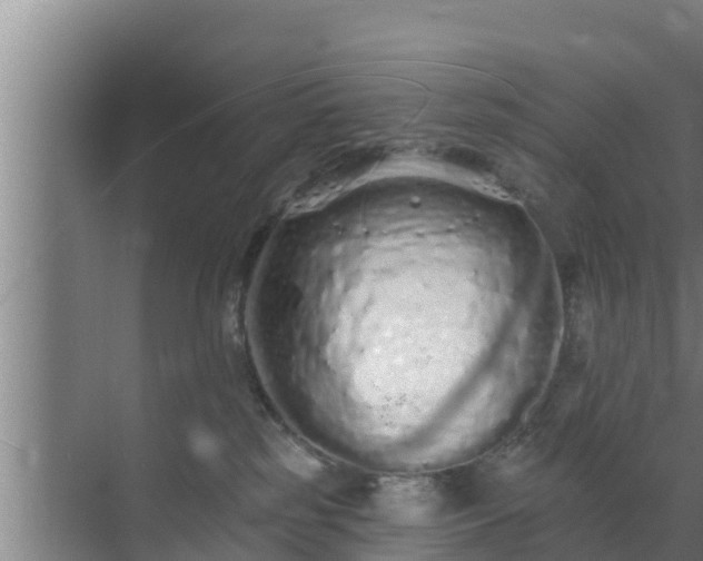 X0000072990185200607290023