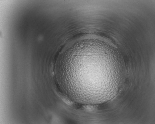 X0000072990187200607290023