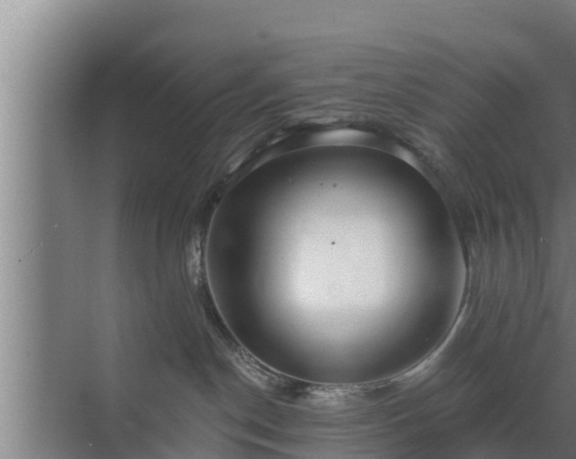 X0000072990190200607290023