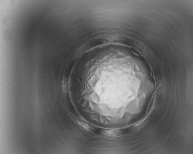 X0000072990191200607290023