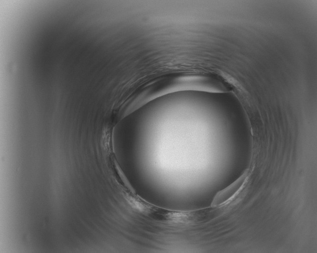 X0000072990192200607290023