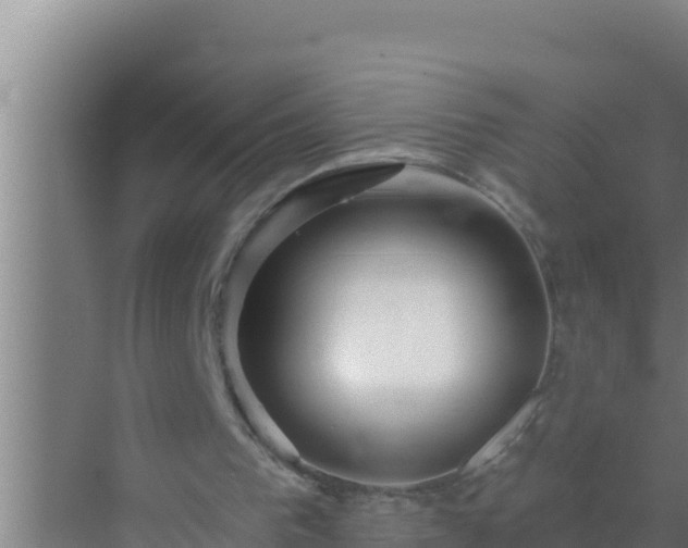 X0000072990193200607290022