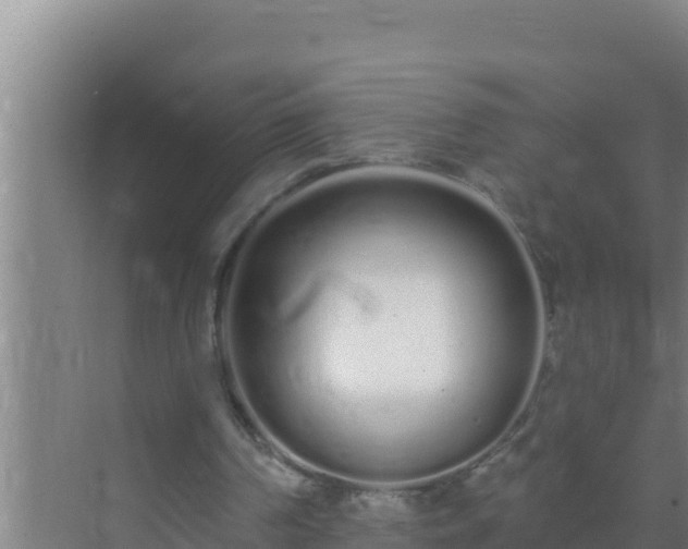 X0000072990194200607290022