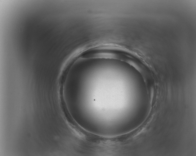 X0000072990197200607290022