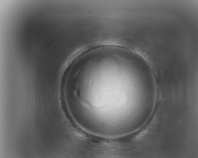 X0000072990199200607290022