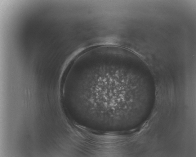 X0000072990200200607290022