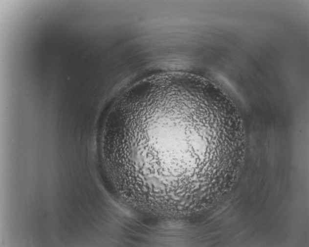 X0000072990202200607290022