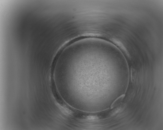 X0000072990204200607290022