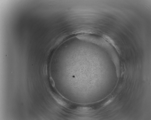 X0000072990205200607290022