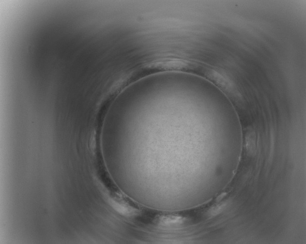 X0000072990206200607290022