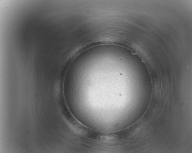 X0000072990208200607290022