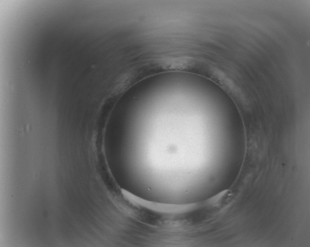 X0000072990209200607290022