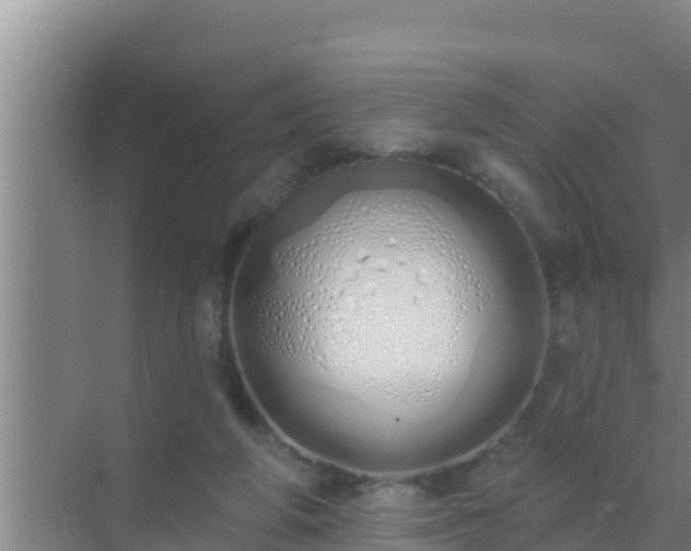 X0000072990210200607290022