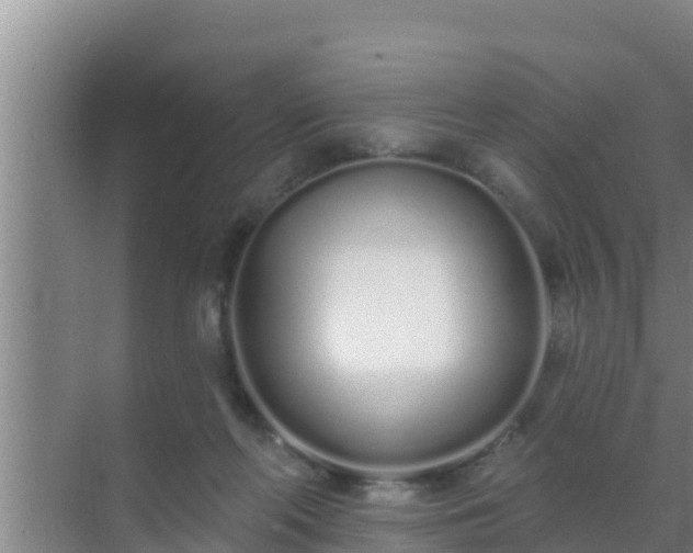 X0000072990214200607290022