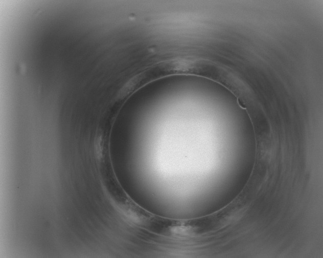 X0000072990216200607290022