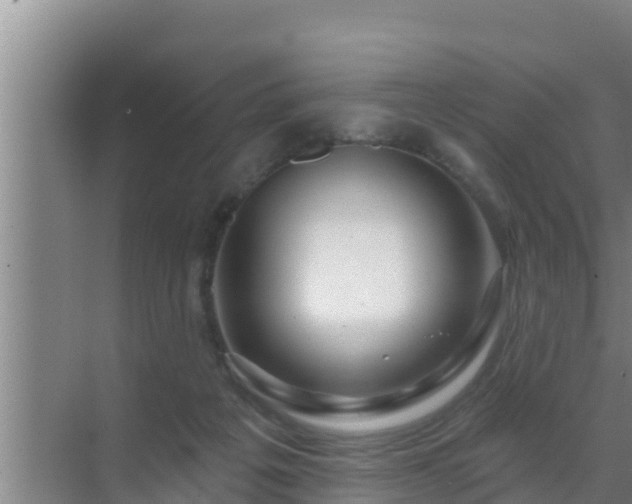 X0000072990217200607290022