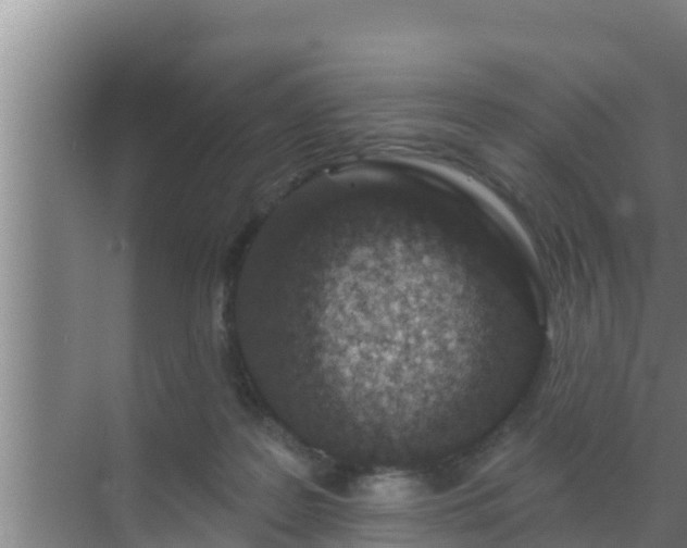 X0000072990219200607290022