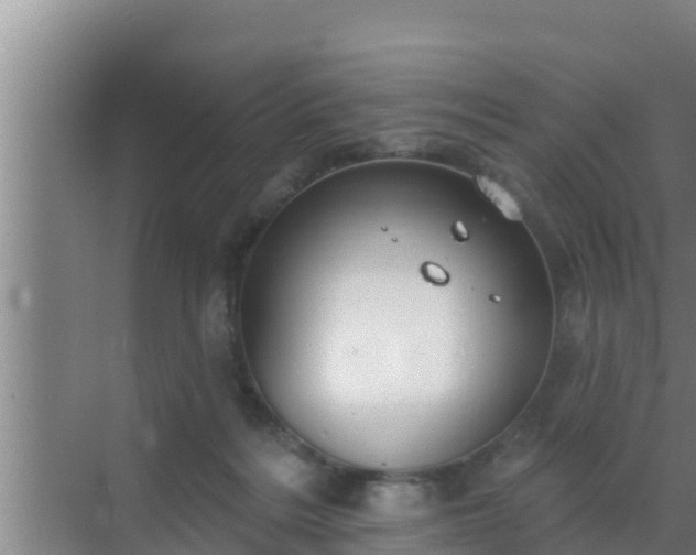 X0000072990220200607290022