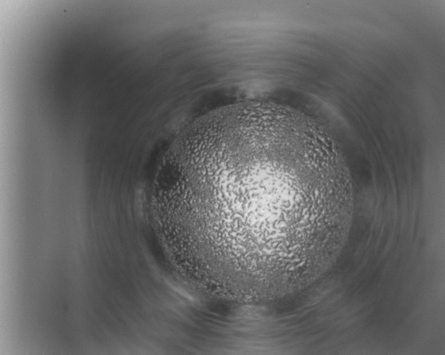 X0000072990222200607290022