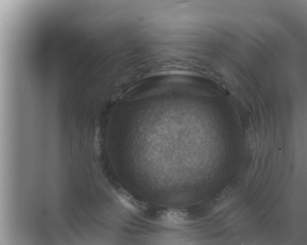 X0000072990223200607290022