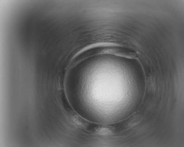 X0000072990224200607290022