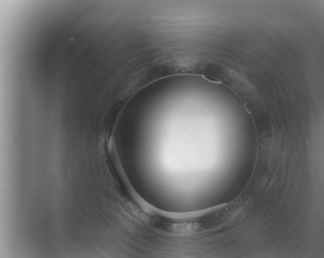 X0000072990225200607290022