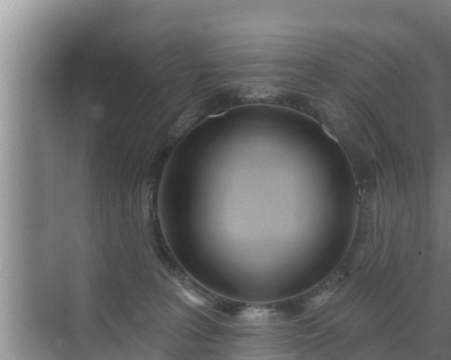 X0000072990227200607290022