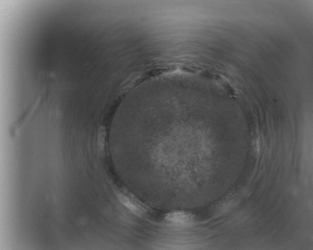 X0000072990231200607290022