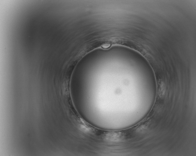 X0000072990236200607290022