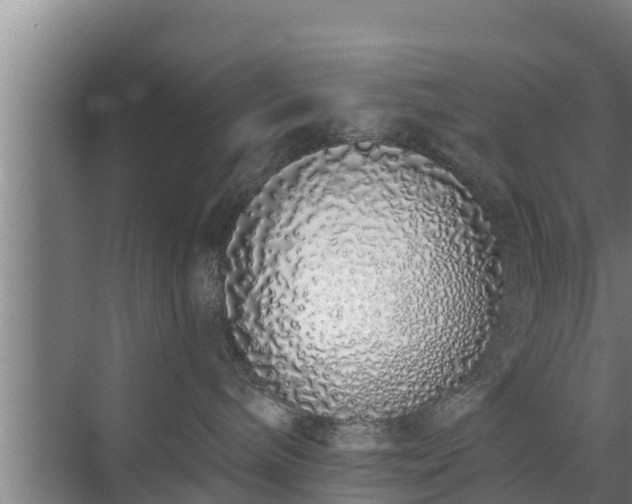 X0000072990240200607290022