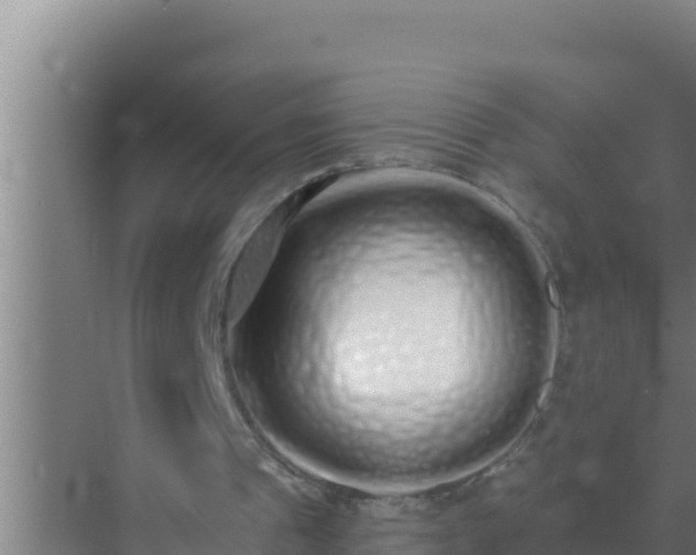 X0000072990241200607290021