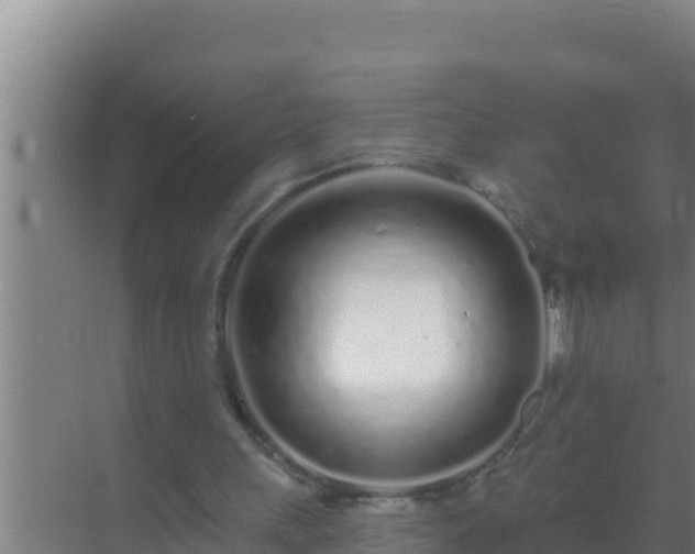 X0000072990243200607290021