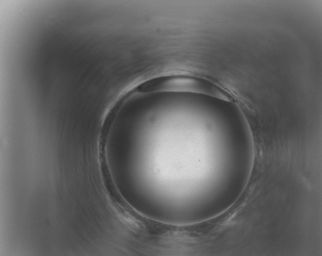 X0000072990244200607290021