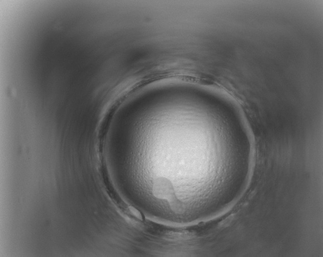 X0000072990245200607290021