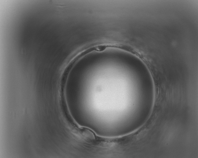 X0000072990247200607290021