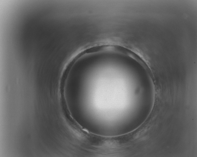 X0000072990248200607290021