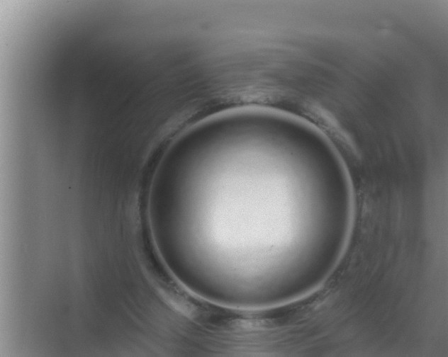 X0000072990250200607290021