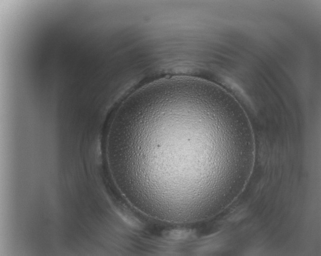 X0000072990251200607290021